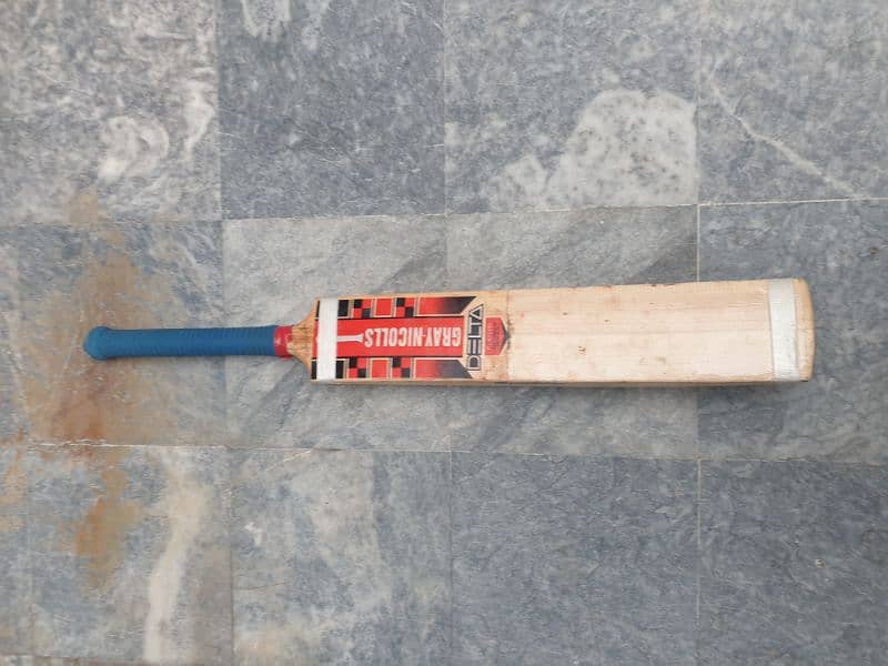 Gray nicolls Delta edition English willow wood bat with bag. 2