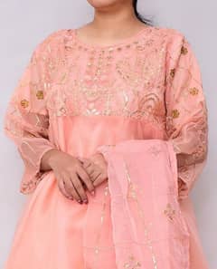 Fancy Organza Embroidered Suit