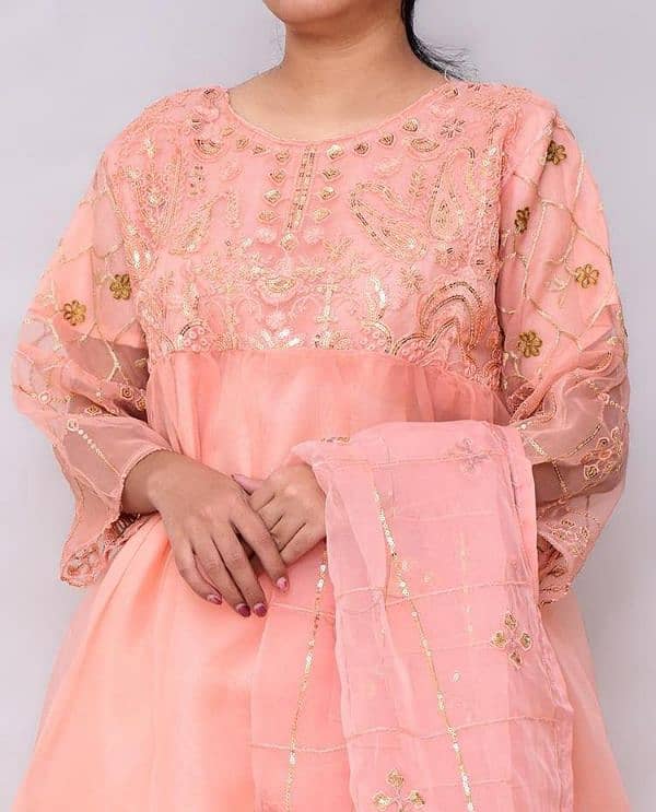 Fancy Organza Embroidered Suit 0