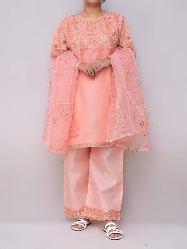 Fancy Organza Embroidered Suit 1