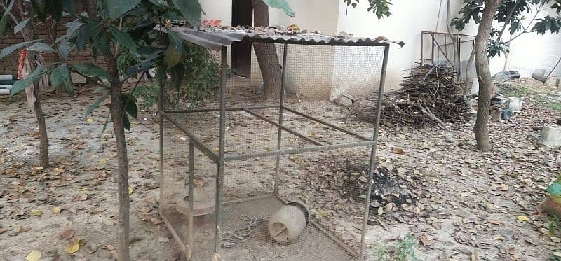 CAGE for hens 0