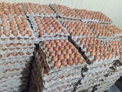 Desi eggs available