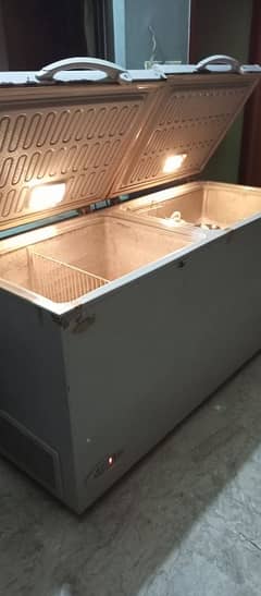 Double door deep freezer