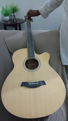 Best Professional Guitar