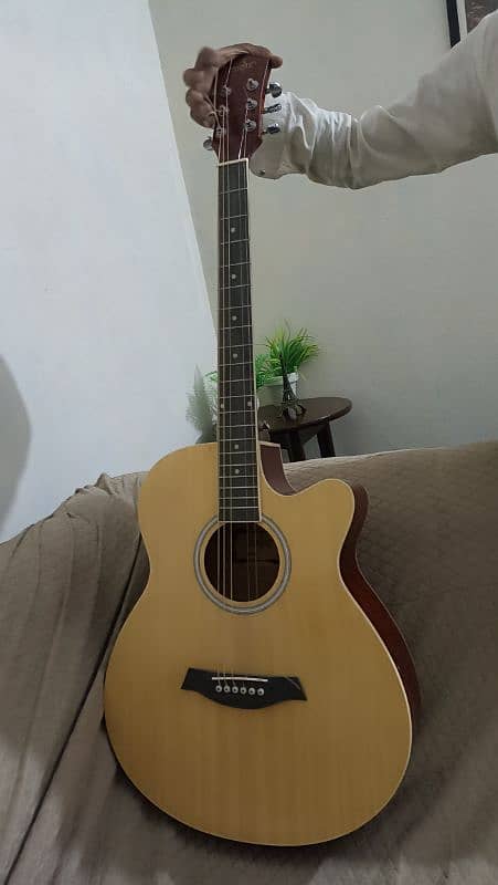 Best Professional Guitar 7