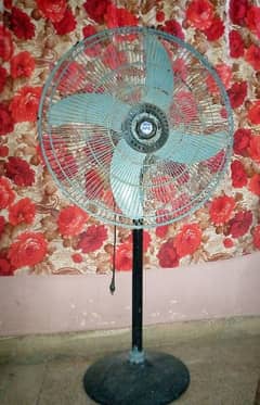 Fan for sale