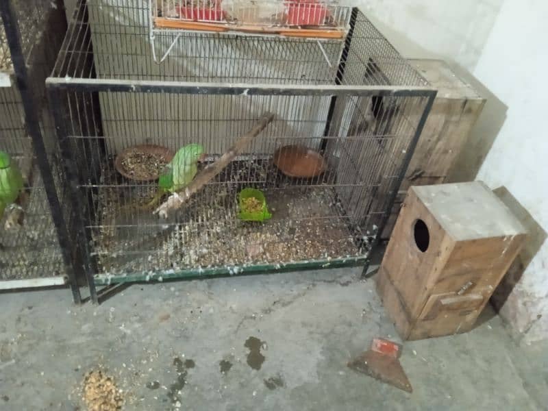 cage for sale full angle 1