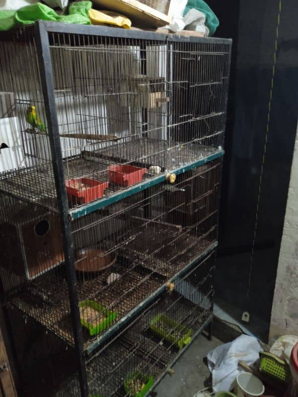 cage for sale full angle 3