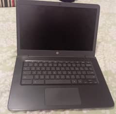 HP chrome book