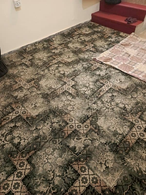 carpet for sale 2