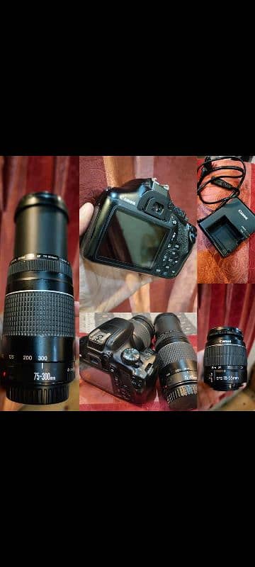 canon 1300D In Good Condition with 2 Lenses 18/55mm & Gift 75/300 Lens 0