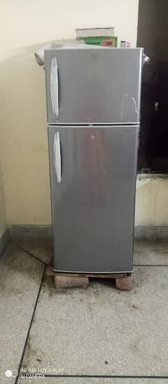 haire fridge medium size