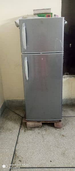 haire fridge medium size 1