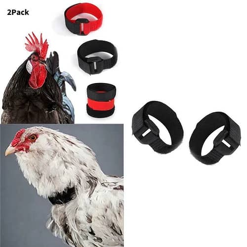 Poultry Equipments and Accessories, Chicken feeders and Drinkers 3