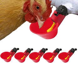 Poultry Equipments and Accessories, Chicken feeders and Drinkers 5