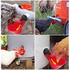 Poultry Equipments and Accessories, Chicken feeders and Drinkers 6