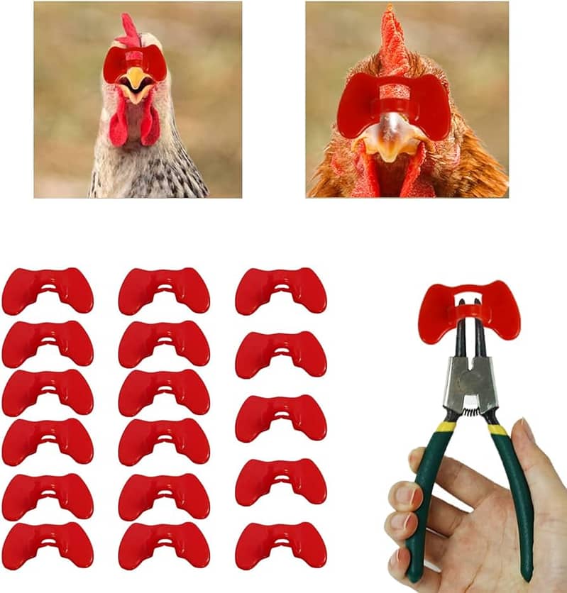 Poultry Equipments and Accessories, Chicken feeders and Drinkers 8