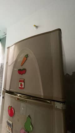 dawlence fridge