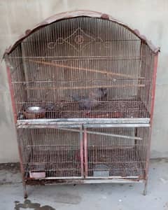 3 partition cage