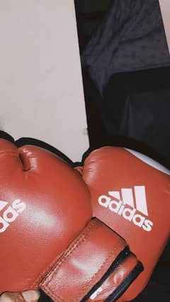 BOXING GLOVES