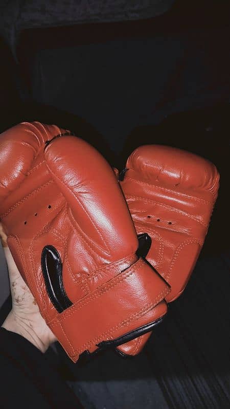 BOXING GLOVES 1