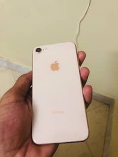 iPhone 8 official pta approved