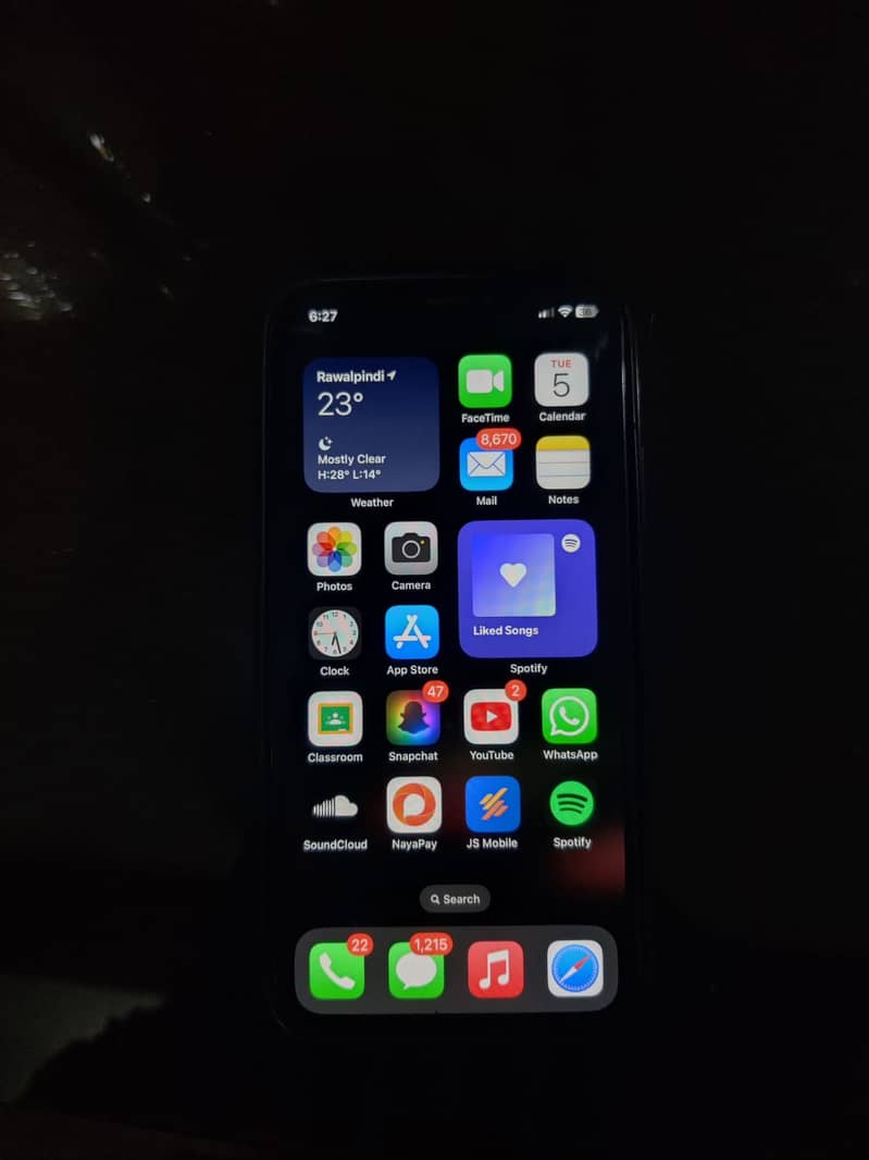 Iphone XS Original Panel 1