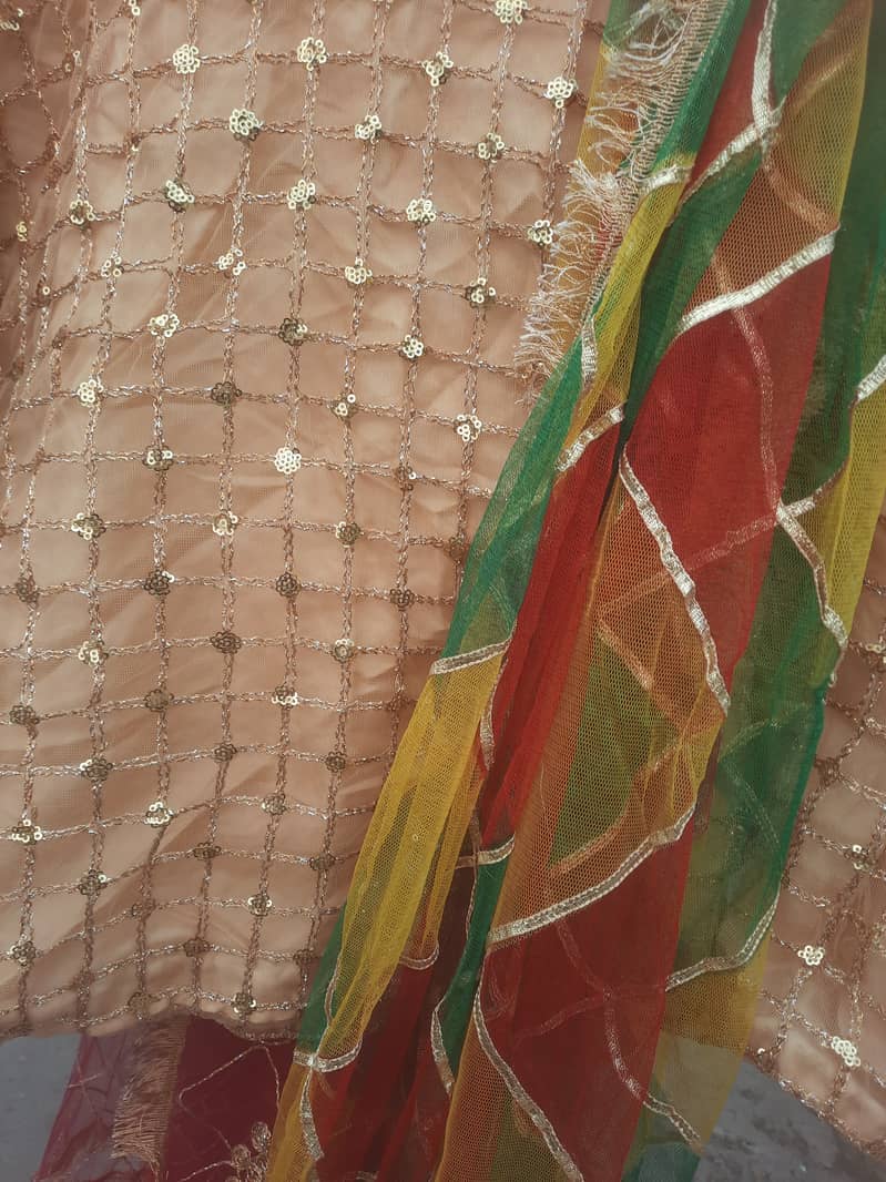 Lehnga with choli and dopatta 3