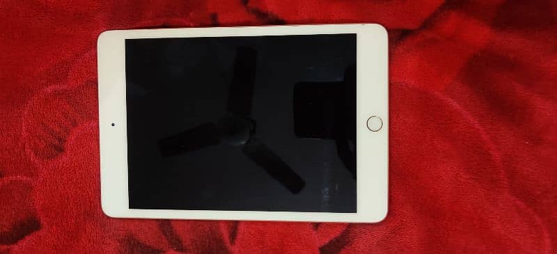 ipad mini 5 with charger 64gb 2