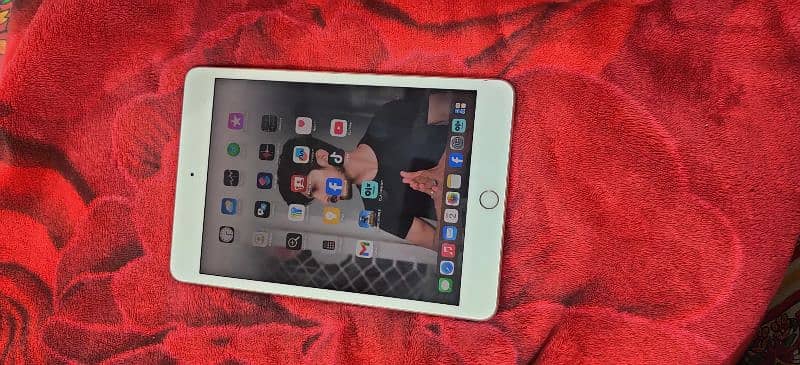 ipad mini 5 with charger 64gb 3