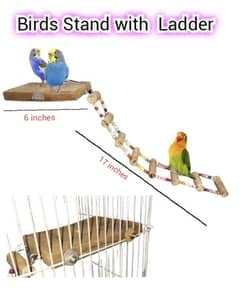 Birds Swings / Stands & Accessories