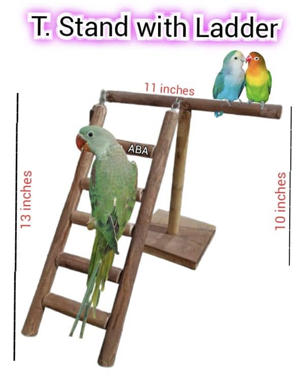 Birds Swings / Stands & Accessories 4