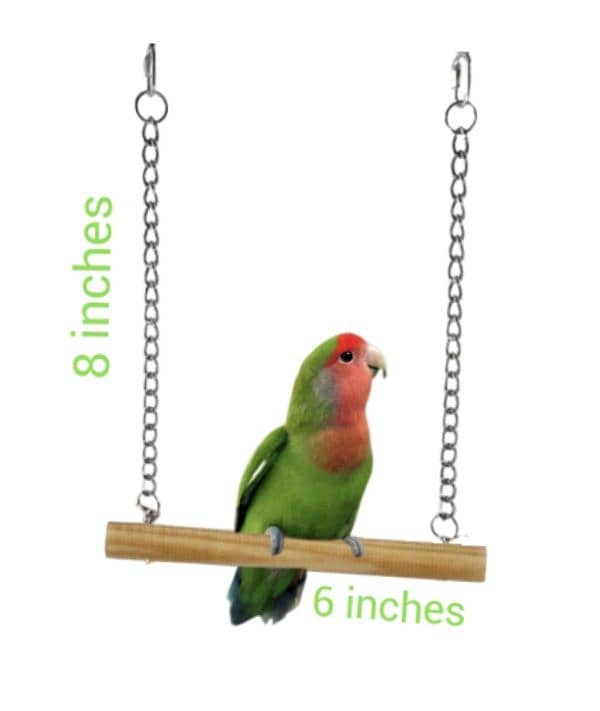 Birds Swings / Stands & Accessories 5