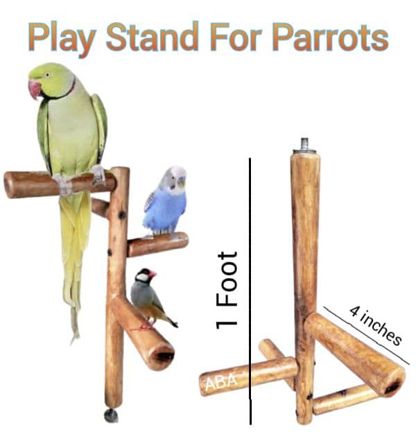 Birds Swings / Stands & Accessories 11