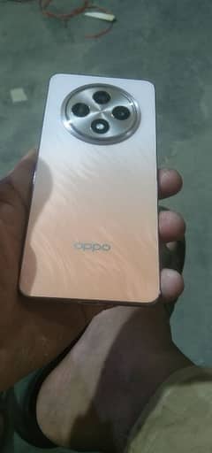 new just opened the box oppo Reno 12f 5g for sale