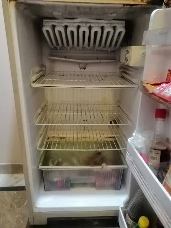 Singer company fridge 1