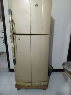 PELL REFRIGERATOR  with it's chowki