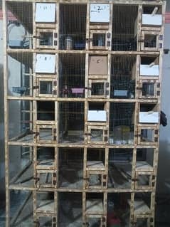 birds finches wooden cage 1.5x. 15x2