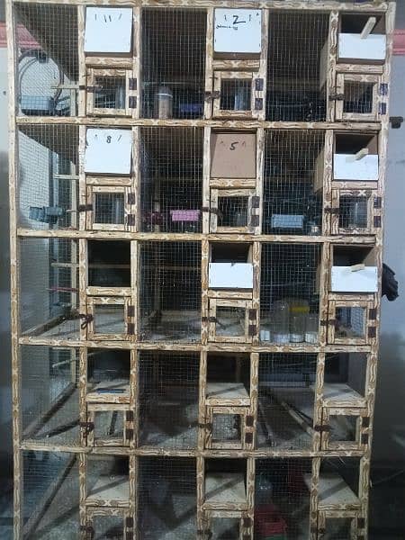 birds finches wooden cage 1.5x. 15x2 0