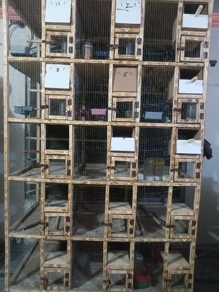 birds finches wooden cage 1.5x. 15x2 1