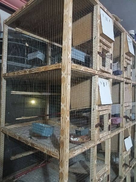 birds finches wooden cage 1.5x. 15x2 2