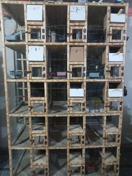 birds finches wooden cage 1.5x. 15x2 3