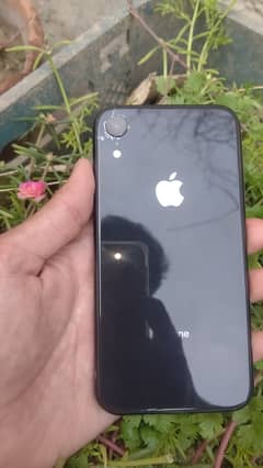 iphone xr jv 64 gb 80 battery healthall ok xchange possible