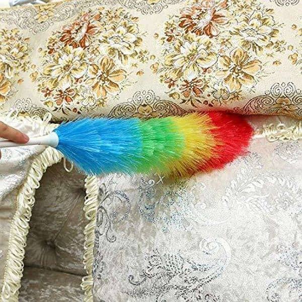 Rainbow Duster 1