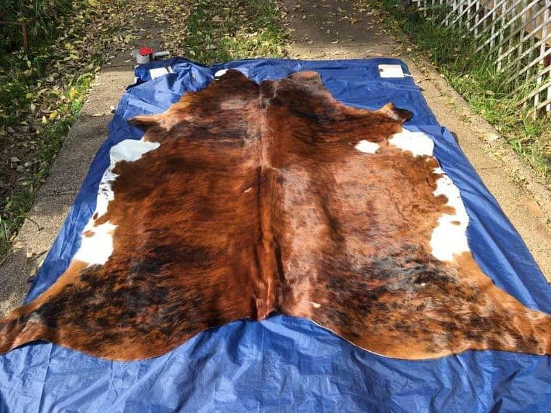 rug carpets cow hair on Leather 1