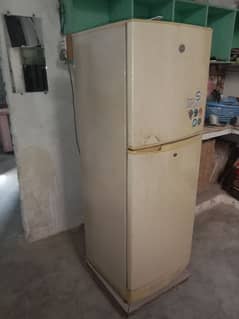 pel refrigerator