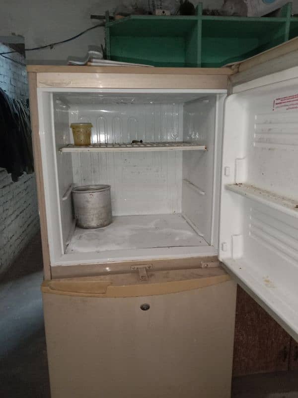 pel refrigerator 1