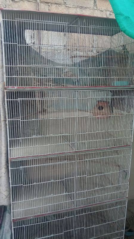 Lutino Lovebirds and 8 portion cage 8