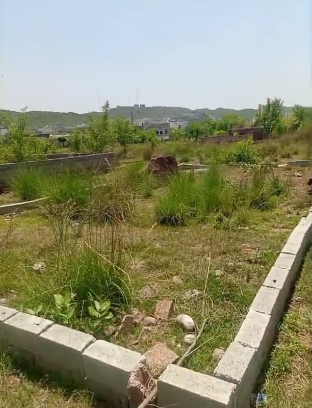 5 Marla Plot For Sale in Bani. Gala 1