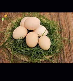 desi organic  eggs